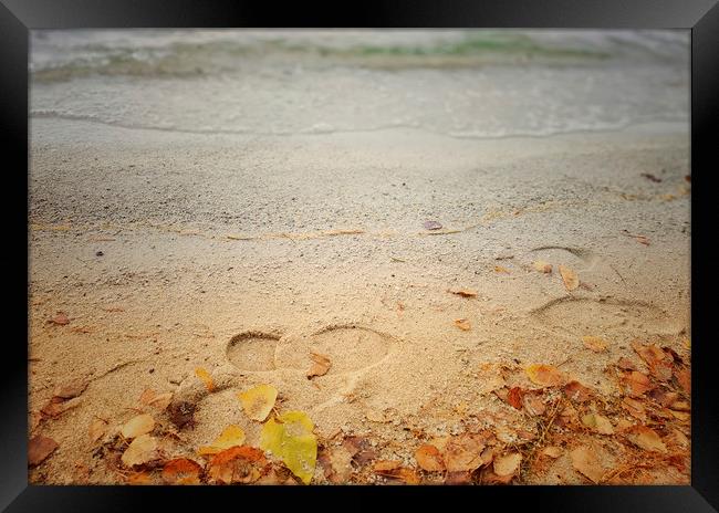 Footprints in the sand Framed Print by Larisa Siverina