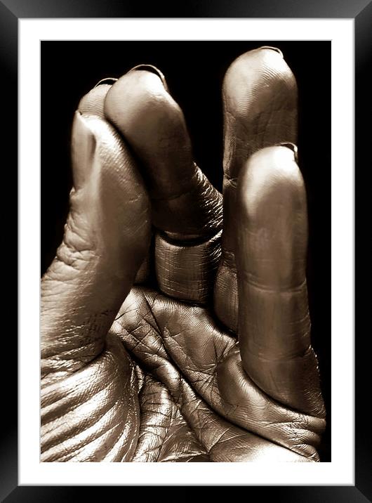 Silver fingers Framed Mounted Print by Larisa Siverina