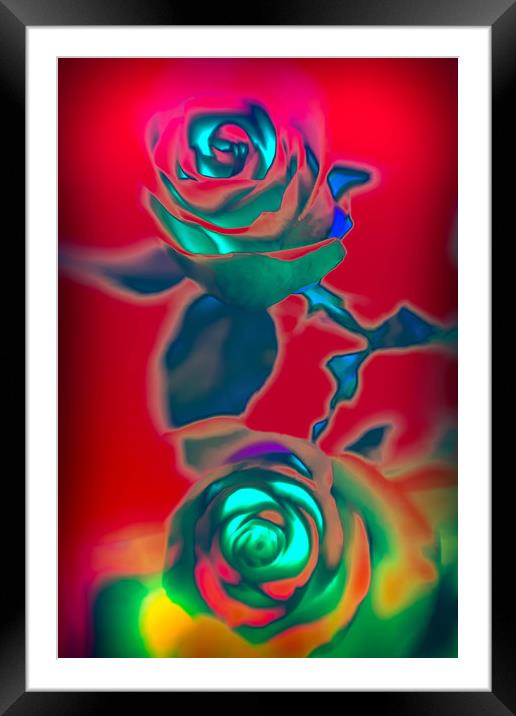 Neon roses Framed Mounted Print by Larisa Siverina