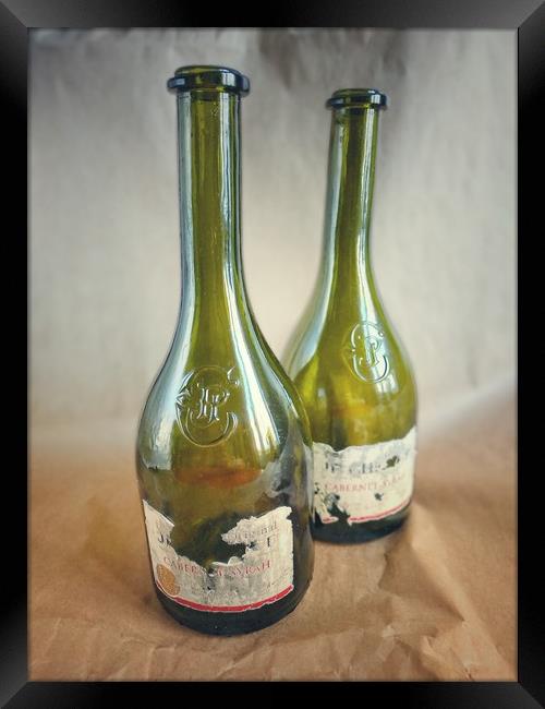 Two wine bottles Framed Print by Larisa Siverina