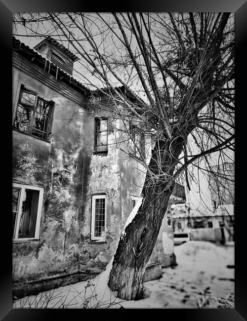 Old tree and house Framed Print by Larisa Siverina