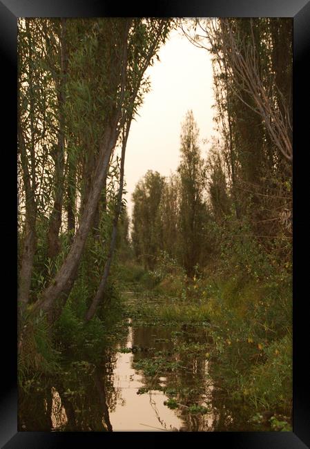 Mexican water district of Xochimilco.  Framed Print by Larisa Siverina