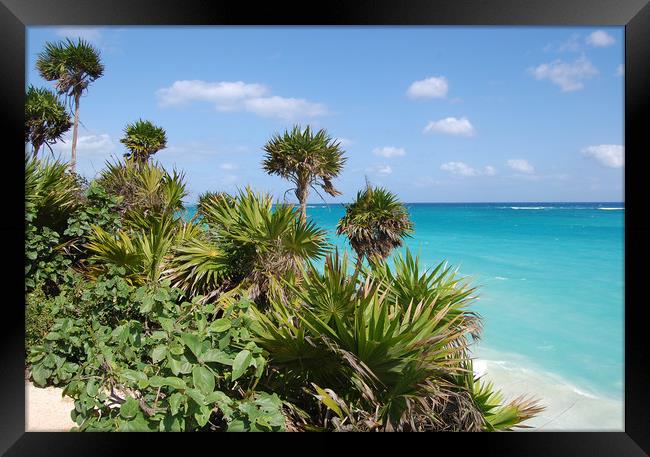 Tulum, Carribean sea Framed Print by Larisa Siverina