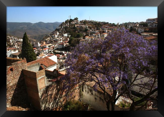 Panorama of the city Taxco Framed Print by Larisa Siverina