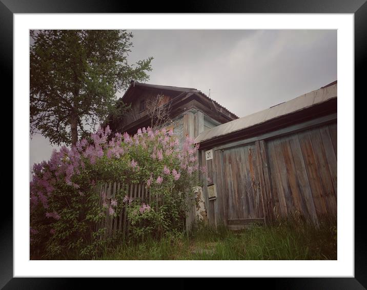 Old wood house. Framed Mounted Print by Larisa Siverina