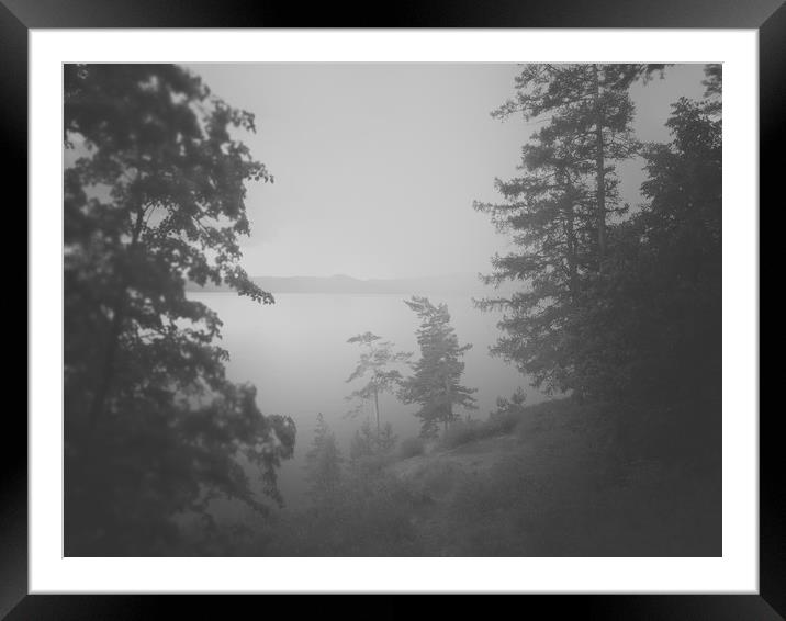 Foggy lake Framed Mounted Print by Larisa Siverina