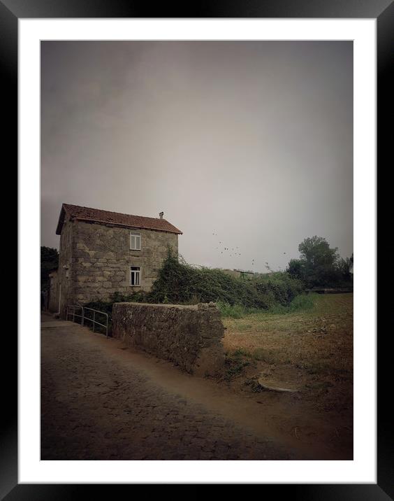 Rural landscape Framed Mounted Print by Larisa Siverina