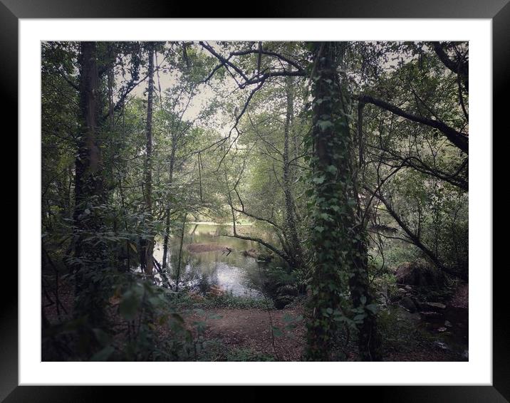 Forest Lake Framed Mounted Print by Larisa Siverina