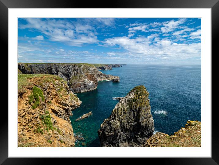 Coast at Stack Rocks, Pembrokeshire. Framed Mounted Print by Colin Allen