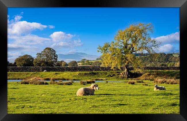 Ingleborough, Yorkshire Dales. Framed Print by Colin Allen