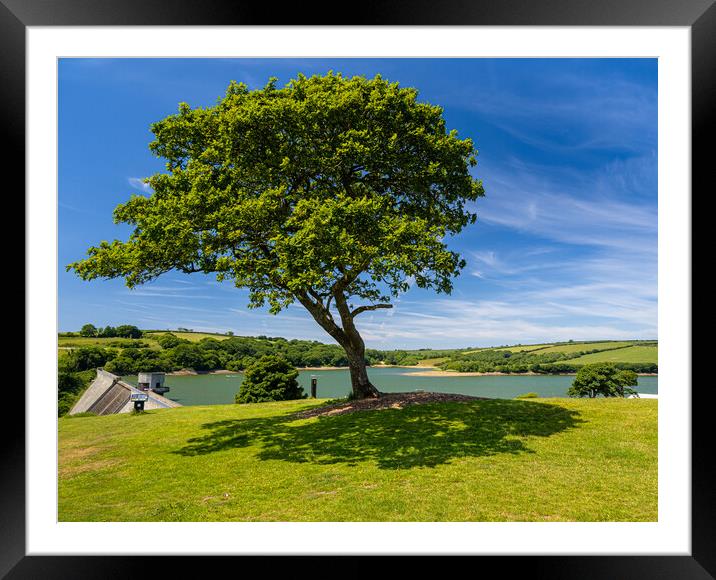 Llys y Fran Reservoir, Pembrokeshire. Framed Mounted Print by Colin Allen