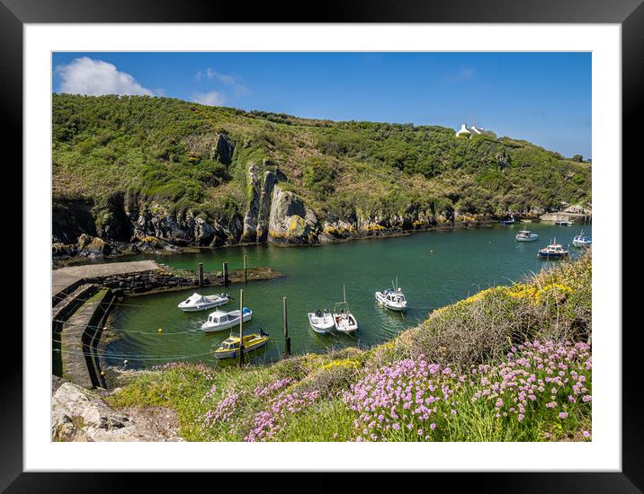 Porthclais Harbour, Pembrokeshire. Framed Mounted Print by Colin Allen