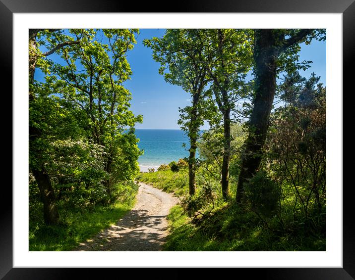 The Walk to Telpyn Beach, Pembrokeshire. Framed Mounted Print by Colin Allen