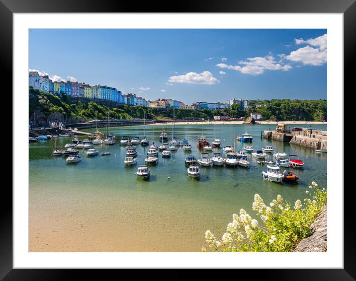  Tenby Harbour, Pembrokeshire, Wales. Framed Mounted Print by Colin Allen