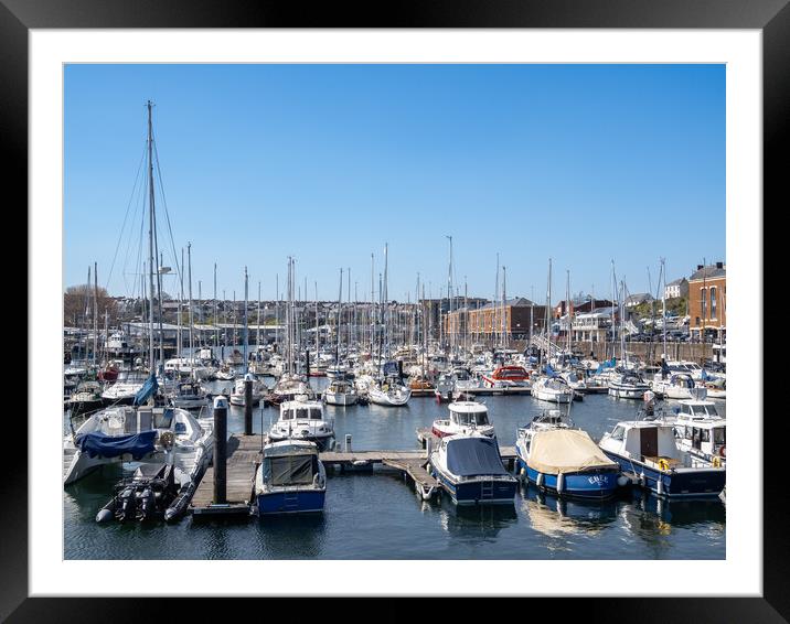 Milford Marina, Milford Haven, Pembrokeshire. Framed Mounted Print by Colin Allen