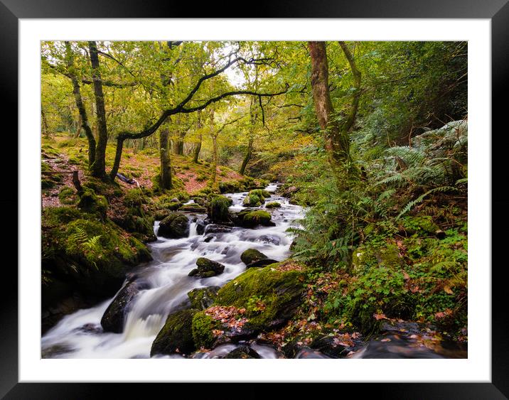 Dolgoch Falls in the Autumn. Framed Mounted Print by Colin Allen