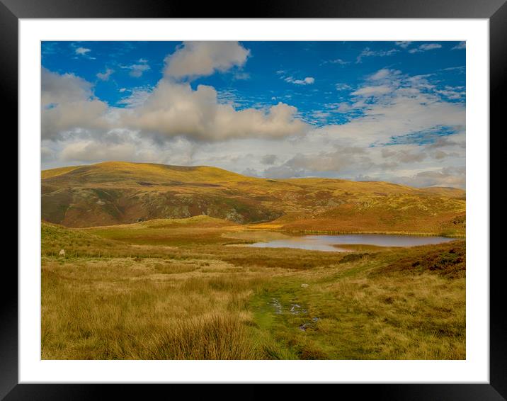 Majestic Autumn Colours Reflecting on Bearded Lake Framed Mounted Print by Colin Allen