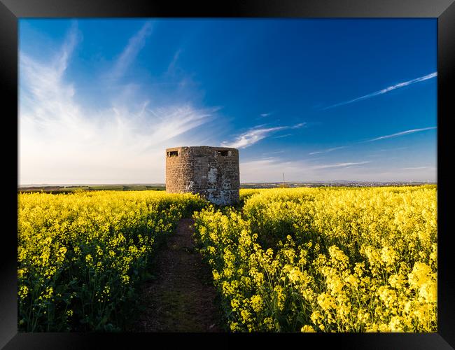 Pillbox at Angle, Pembrokeshire. Framed Print by Colin Allen