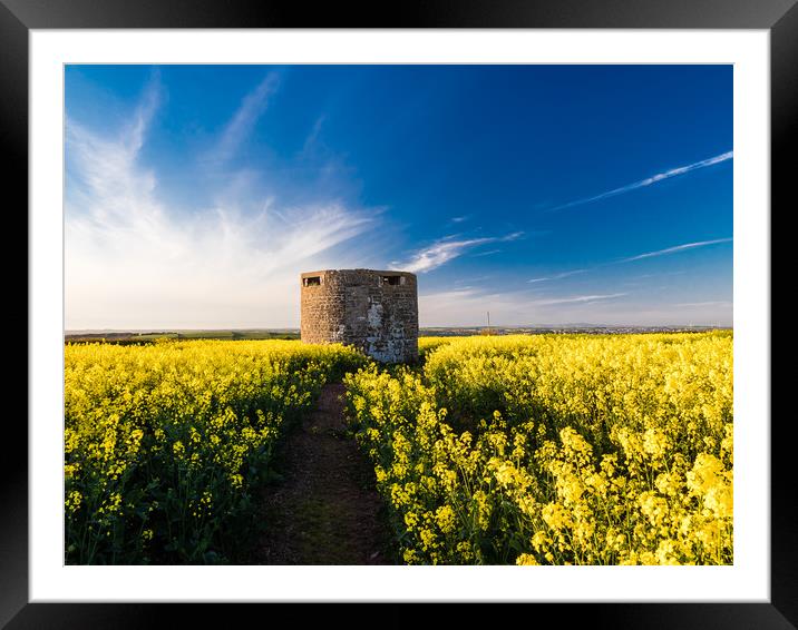 Pillbox at Angle, Pembrokeshire. Framed Mounted Print by Colin Allen