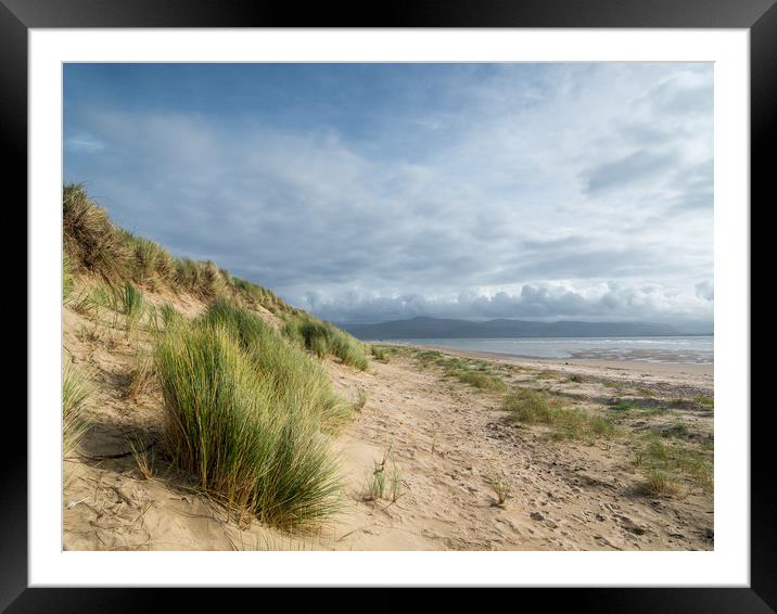 The Dunes at Aberdovey.  Framed Mounted Print by Colin Allen