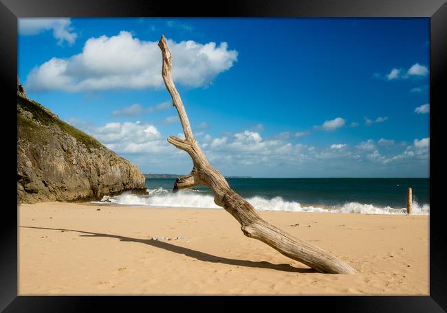 Barafundle Bay - Driftwood on the Shore. Framed Print by Colin Allen