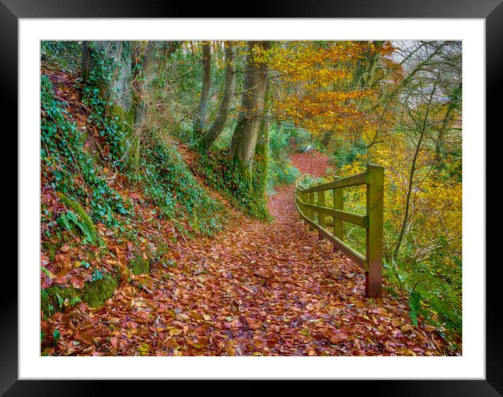 Dylan's Birthday Walk, Laugharne. Framed Mounted Print by Colin Allen