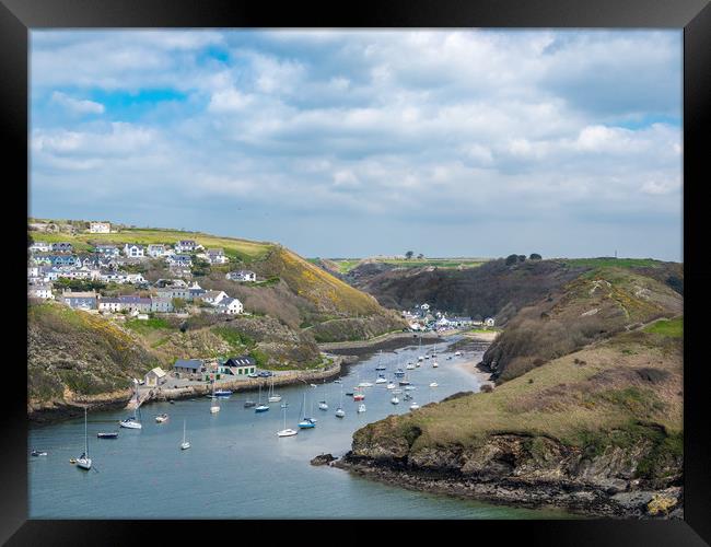 Solva Harbour in Spring. Framed Print by Colin Allen