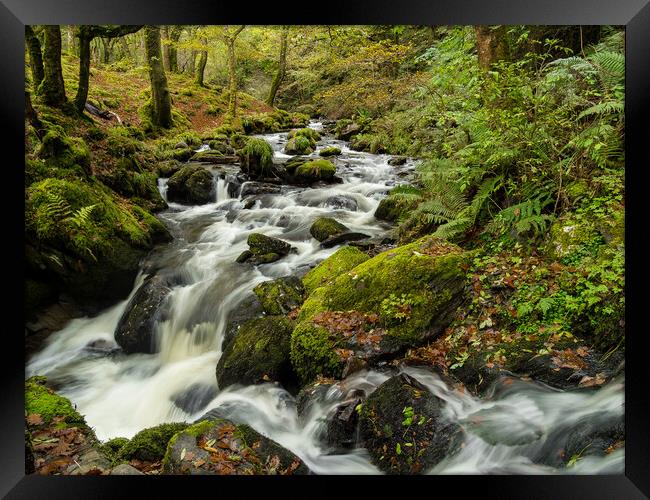 Dolgoch Falls in the Autumn. Framed Print by Colin Allen