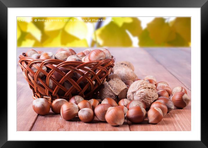 A basket of hazelnuts on blurred background of red Framed Mounted Print by Andrey Lipinskiy