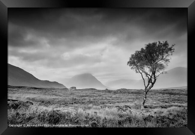 Tree In The Wind Framed Print by Richard Pike