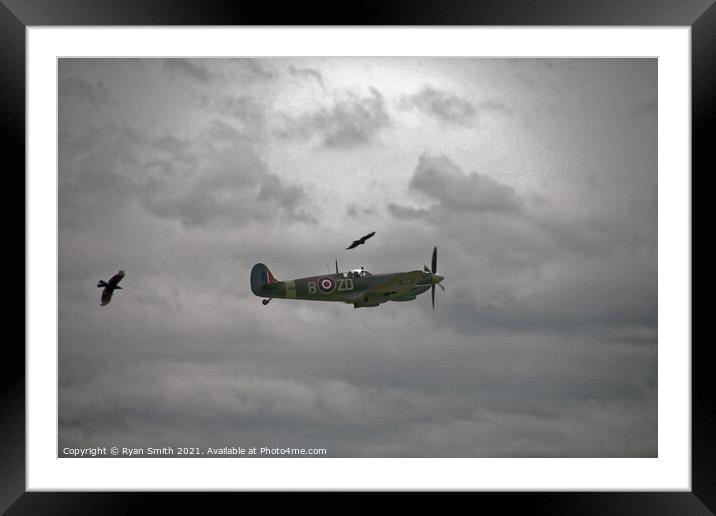 Spitfire on a cloudy day with birds flying alongside Framed Mounted Print by Ryan Smith