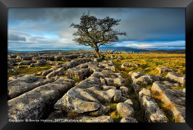 The Lone Tree on the Stones Framed Print by George Hopkins