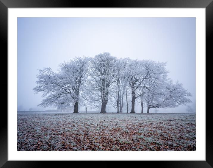 frosty winter trees near Knaresborough Framed Mounted Print by mike morley