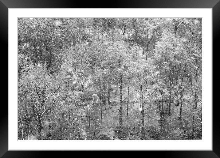 snow on trees in Knaresborough Framed Mounted Print by mike morley