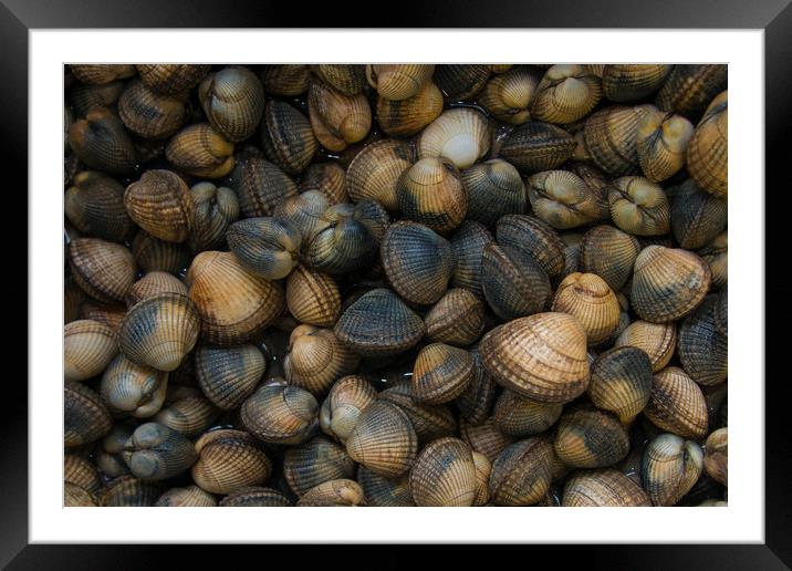 Cockles. Framed Mounted Print by Bryn Morgan