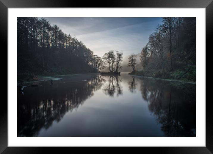 Reflections of a tree at Penllergaer woods. Framed Mounted Print by Bryn Morgan