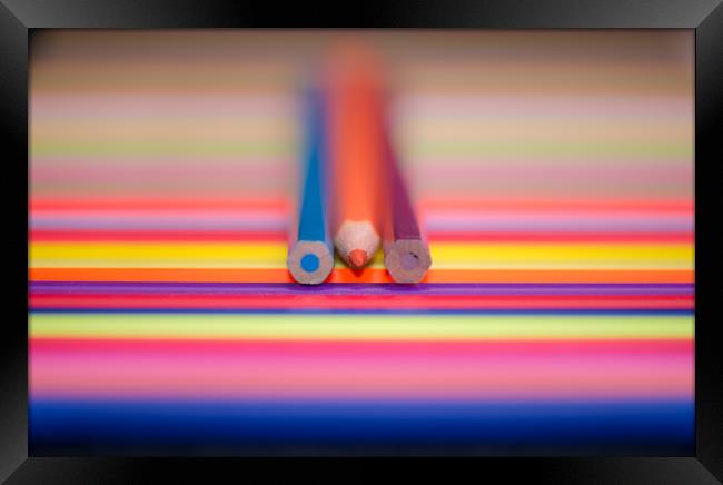 Coloured pencils. Framed Print by Bryn Morgan