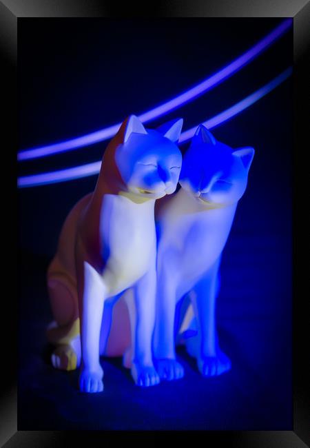 Blue cats, light painting. Framed Print by Bryn Morgan