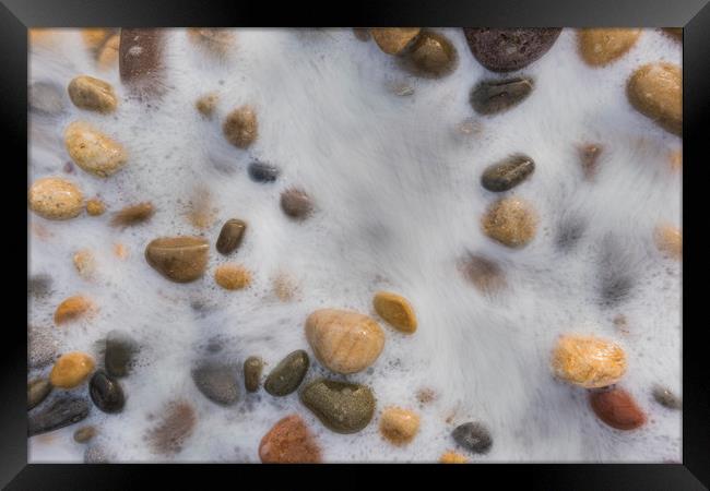 Pebbles washed by the tide. Framed Print by Bryn Morgan