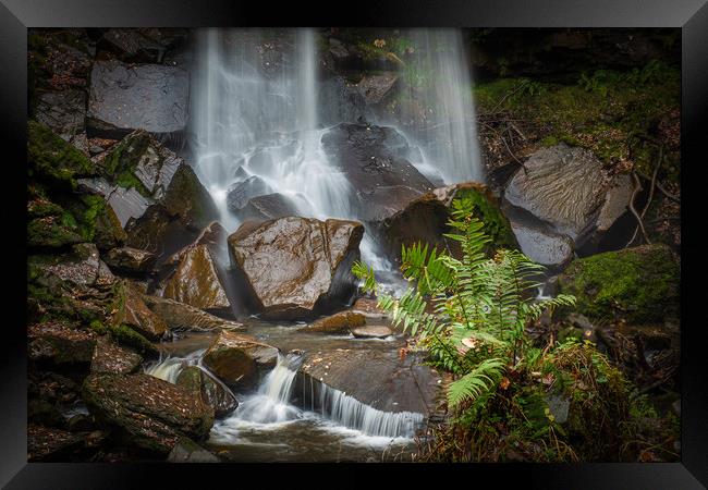 Melincourt waterfall with fern in foreground. Framed Print by Bryn Morgan