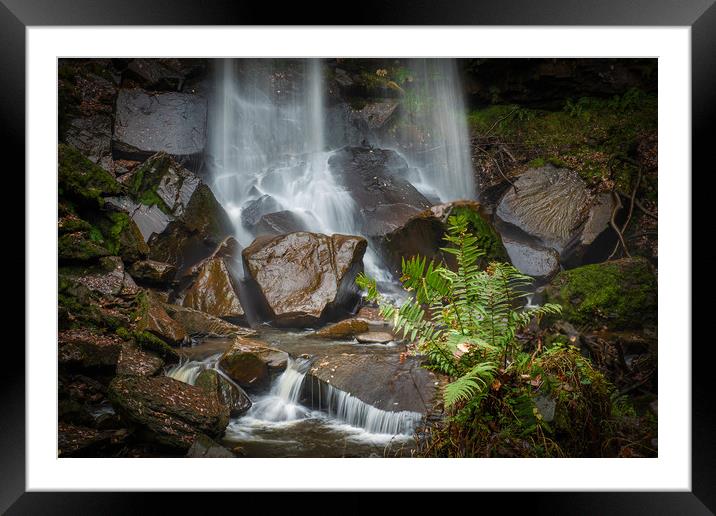 Melincourt waterfall with fern in foreground. Framed Mounted Print by Bryn Morgan