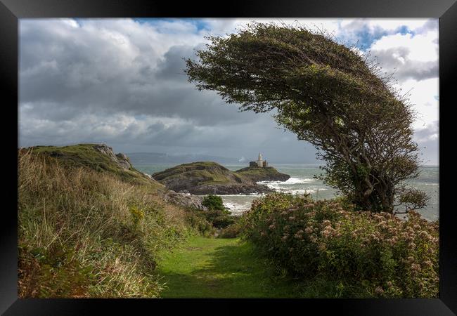 Mumbles lighthouse framed by tree. Framed Print by Bryn Morgan