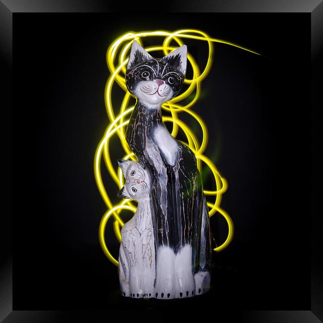Cat and her kitten, light painting. Framed Print by Bryn Morgan