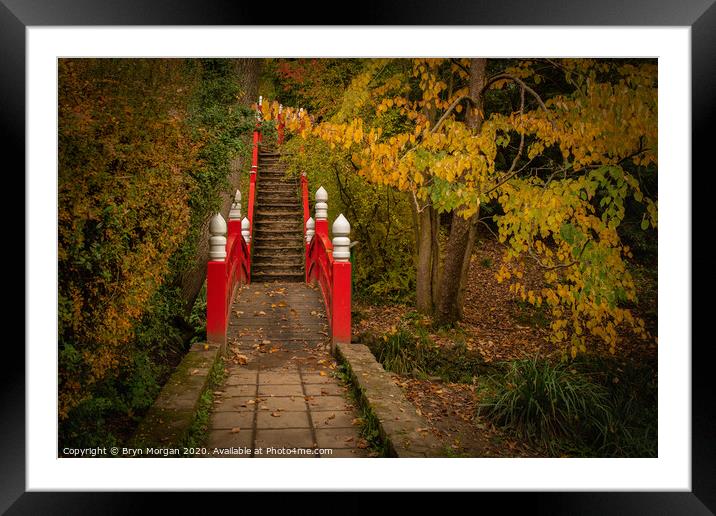 Clyne gardens Japanese bridge Framed Mounted Print by Bryn Morgan