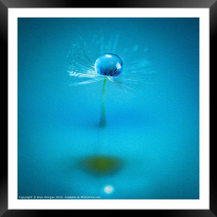 Dandelion and water droplet amongst the swirls Framed Mounted Print by Bryn Morgan