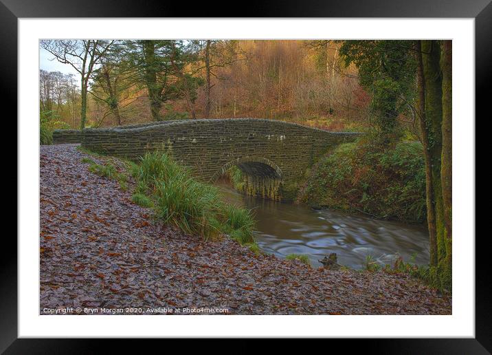 Small bridge at Penllergare valley woods Framed Mounted Print by Bryn Morgan