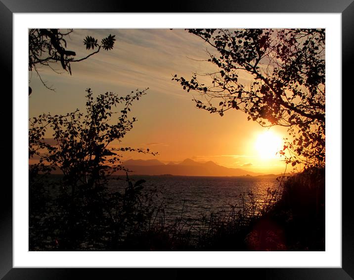       Golden Sunset                         Framed Mounted Print by alan todd