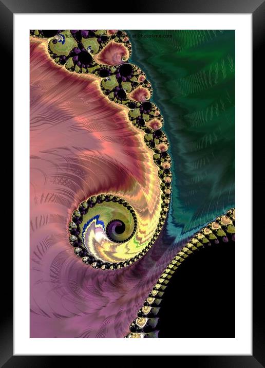 Peacock's Tail Framed Mounted Print by Vickie Fiveash