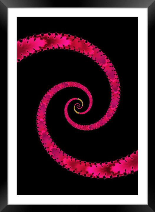 Snake Spiral Framed Mounted Print by Vickie Fiveash