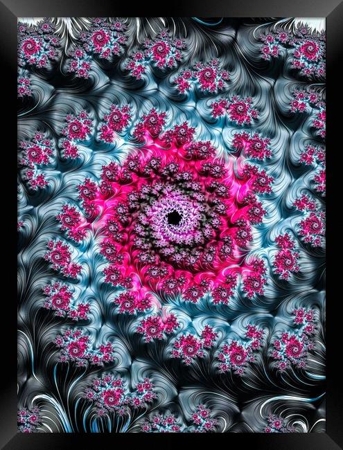 Floral Spiral Framed Print by Vickie Fiveash